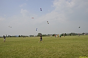 Parco San Giuliano  - 376